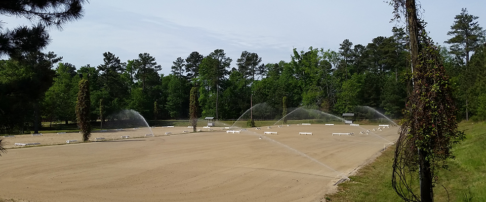 1Drsg Arenas being watered