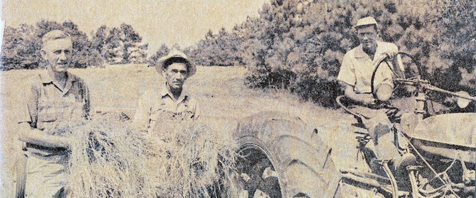 2.Haying_Old_Farm