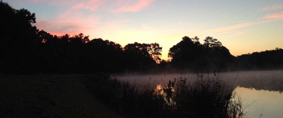 9.sunrise
