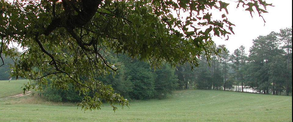 1Field_Above_Big_Lakeresized