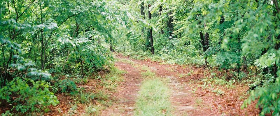 6Img28