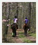 ry in spring gy bdr